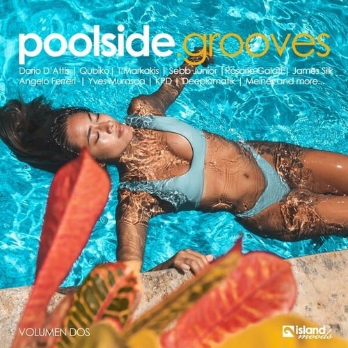 Various Artists-Poolside Grooves (Volumen Dos)