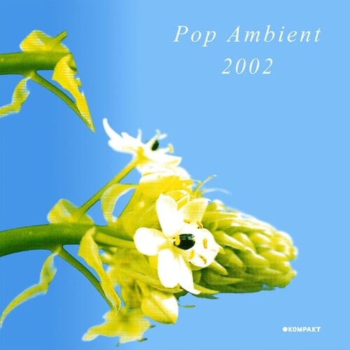 Pop Ambient 2002