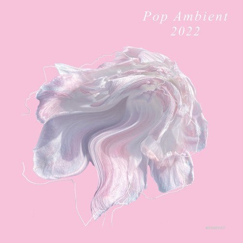 Various Artists-Pop Ambient 2022