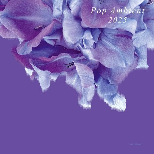 Various Artists-Pop Ambient 2025