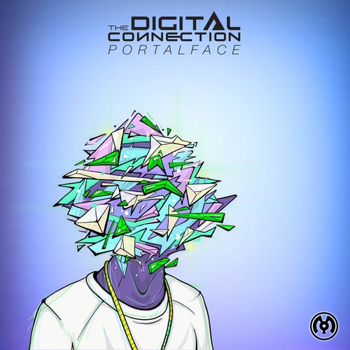 The Digital Connection-Portalface