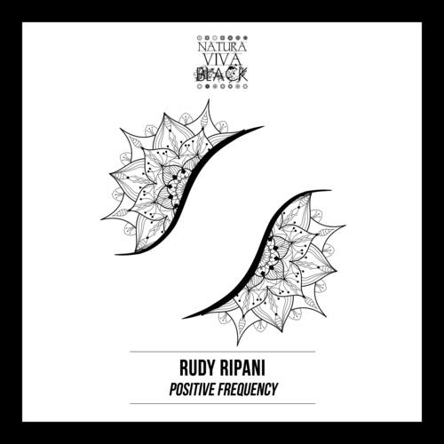 Rudy Ripani-Positive Frequency