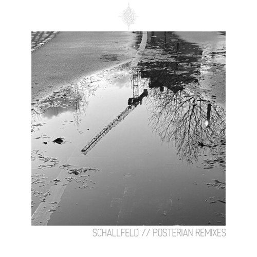 Schallfeld, Dennis Siemion, Hendrik Omun, Intaktogene-Posterian (Remixes)