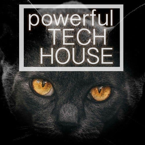 Powerful Tech House