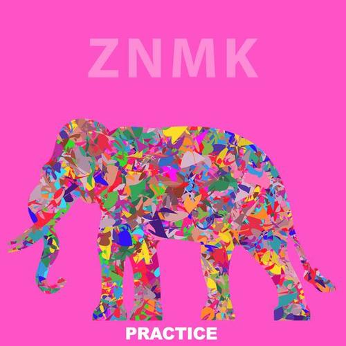 Various Artists-Practice