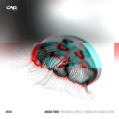 Aridan Torke, Joton, Aicrag-Prefrontal_Cortex EP