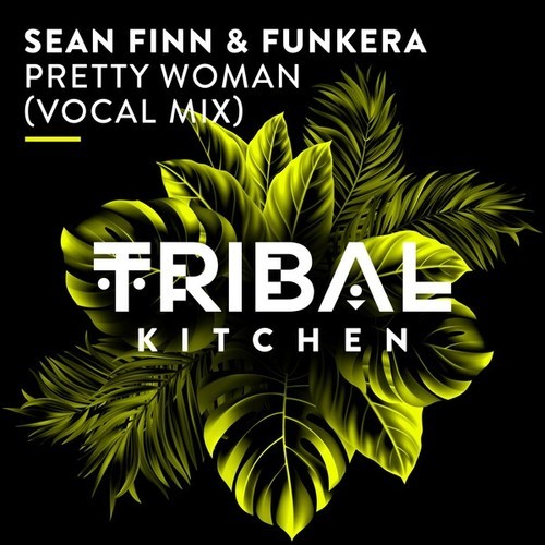 Sean Finn, Funkera-Pretty Woman (Extended Vocal Mix)