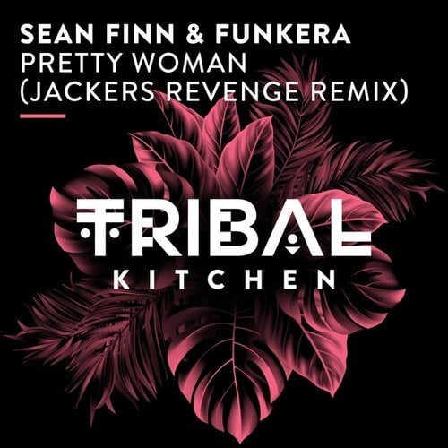 Sean Finn, Funkera, Jackers Revenge-Pretty Woman (Jackers Revenge Extended Remix)