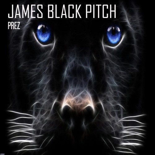 James Black Pitch-Prez
