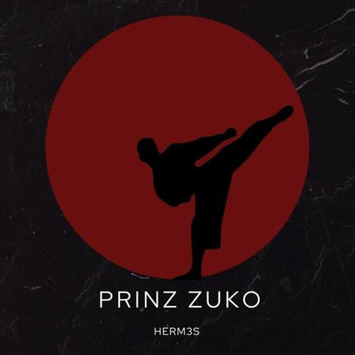 HERM3S-Prinz Zuko