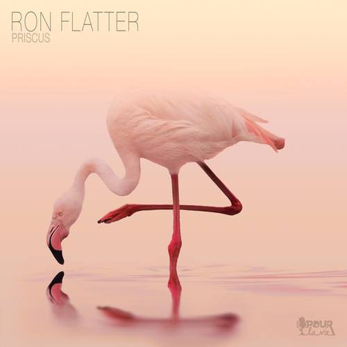 Ron Flatter-Priscus
