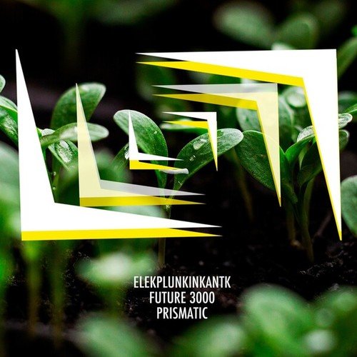 Elekplunkinkantk, Future 3000-Prismatic