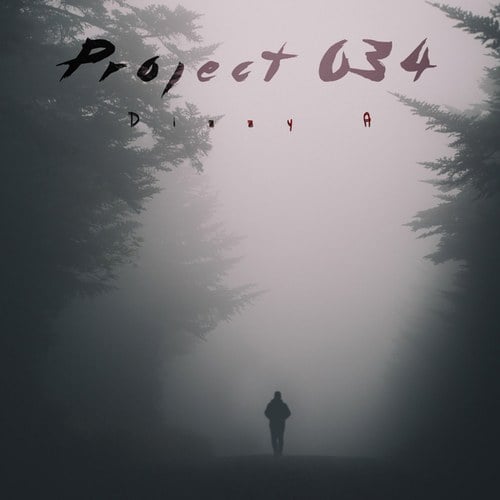 Project 034