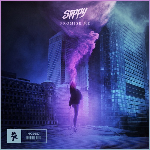 Slippy-Promise Me