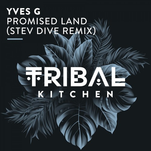Yves G, Stev Dive-Promised Land (Stev Dive Remix)