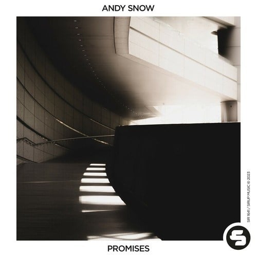 Andy Snow-Promises