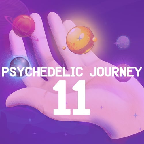 Various Artists-Psychedelic Journey 11