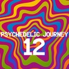 Psychedelic Journey 12
