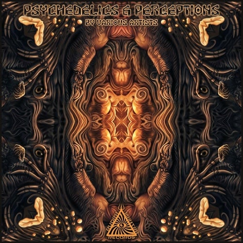Various Artists-Psychedelics & Perceptions