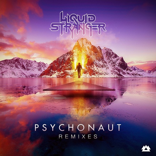 Liquid Stranger, Krischvn, Lick, LUZCID, Mersiv, 12th Planet, AstroLizard, Blanke, Hydraulix-Psychonaut