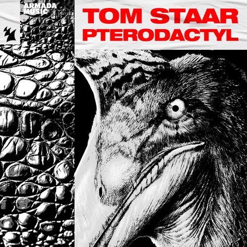 Tom Staar-Pterodactyl