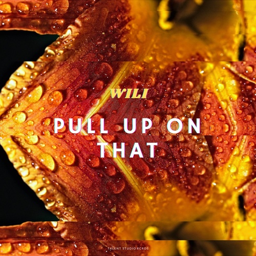 WiLi-Pull up on that