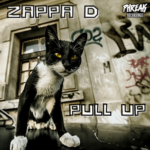 Zappa D-Pull Up