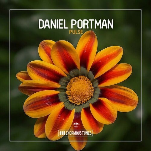 Daniel Portman-Pulse