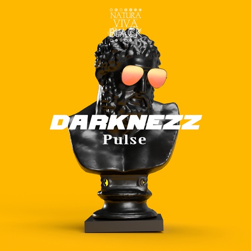 Darknezz-Pulse