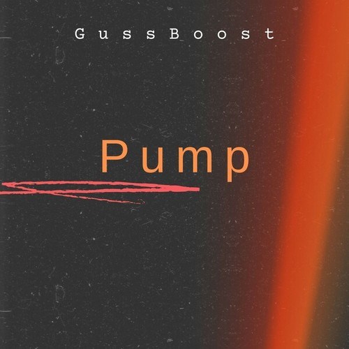 GussBoost-Pump