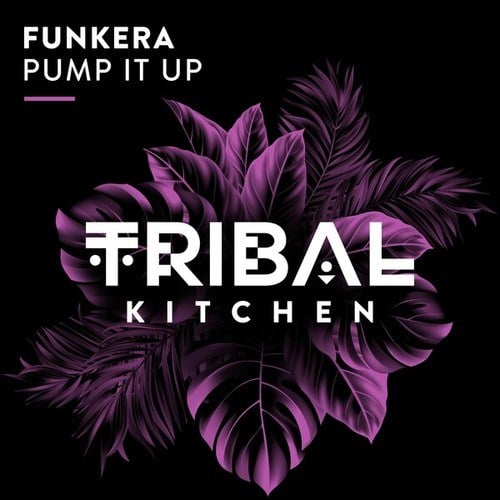 Funkera-Pump It Up