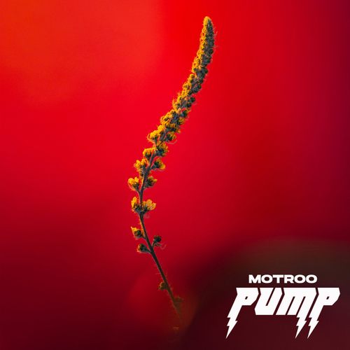 Motroo-PUMP