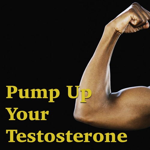 Various Artists-Pump Up Your Testosterone