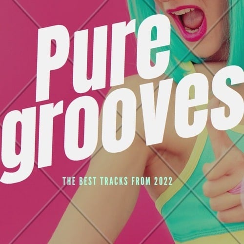 Various Artists-Pure Grooves