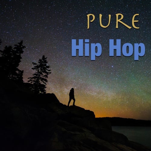 Various Artists-Pure Hip Hop
