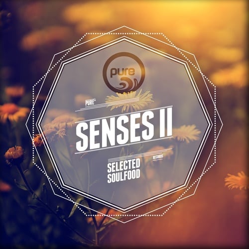 Various Artists-Pure Senses - Selected Soulfood, Vol. 2