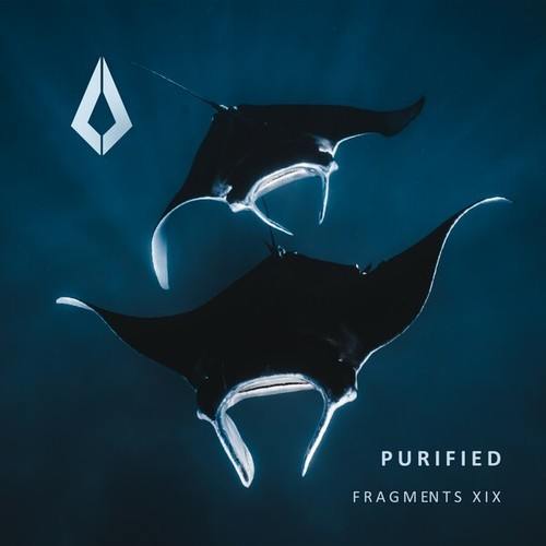 Spartans, P.LIMA, Offtide-Purified Fragments XIX