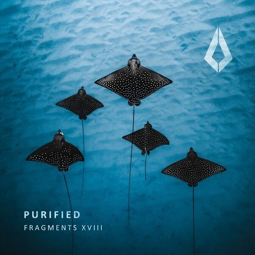 Jono Stephenson, Wouter Achterberg, FJ9-Purified Fragments XVIII