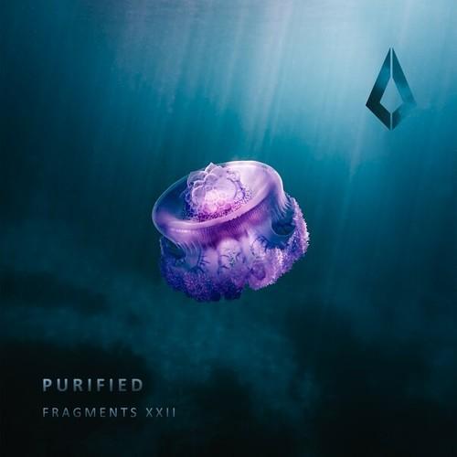 Whiteout, Kiholm, Ivy Marie, Juno Stone-Purified Fragments XXII