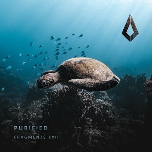 Adam Nazar, Curt Reynolds, Rïa Mehta, Sean Ae, Jack Willard, Samanta Liza-Purified Fragments XXIII