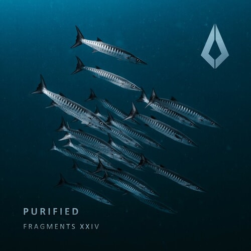 CHRSTPHR, Milan Steenwinkel, Evy Joy-Purified Fragments XXIV