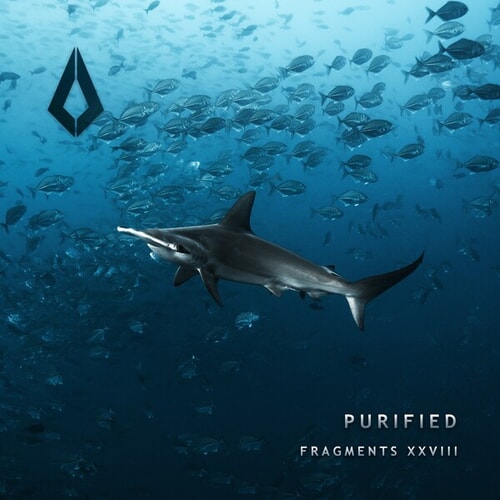 Purified Fragments XXVIII