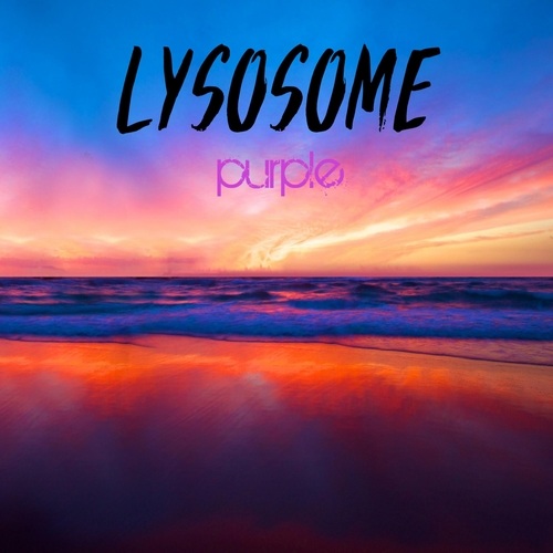 Lysosome-Purple Elephant