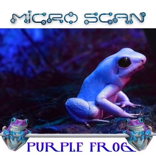 Micro Scan-Purple Frog