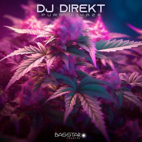 DJ Direkt-Purple Haze