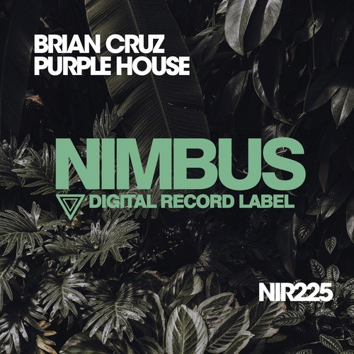 Brian Cruz-Purple House