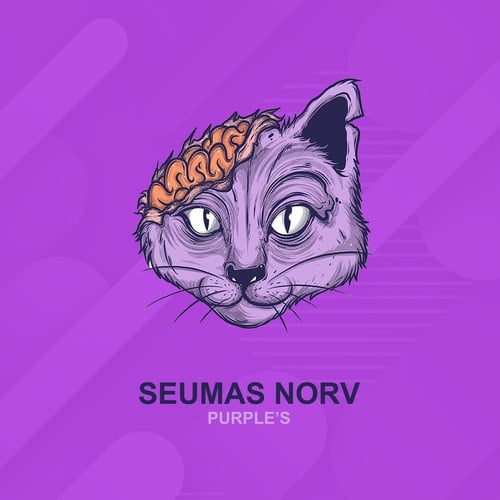 Seumas Norv-Purple's