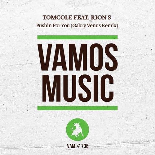 TomCole, Rion S, Gabry Venus-Pushin for You (Gabry Venus Remix)