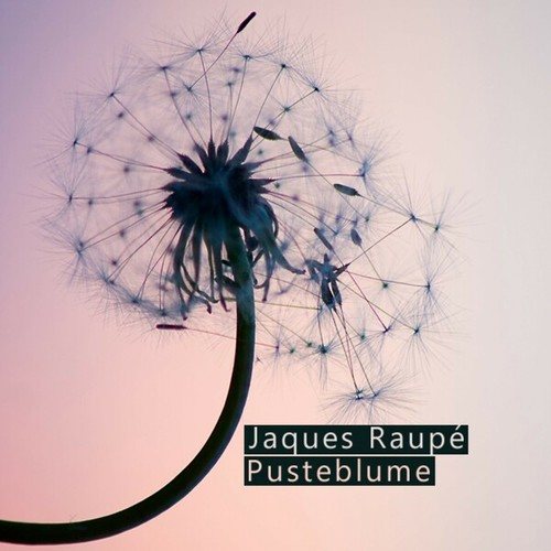 Pusteblume Remixes