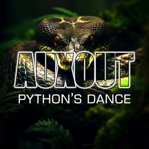 AUXOUT-Python's Dance